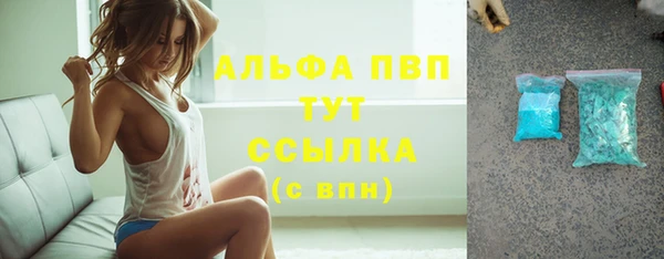 гидра Надым