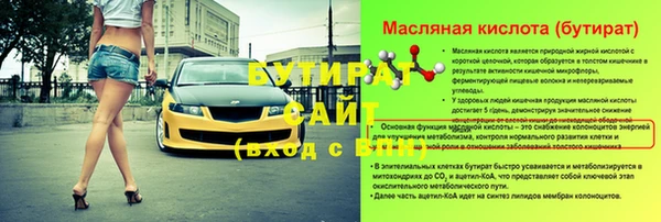 гидра Надым