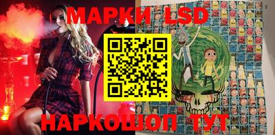 молекула духа Камышлов