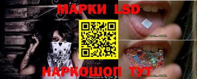 молекула духа Камышлов