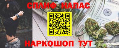 молекула духа Камышлов
