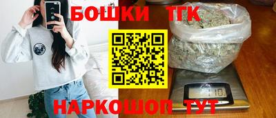 молекула духа Камышлов