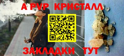 молекула духа Камышлов
