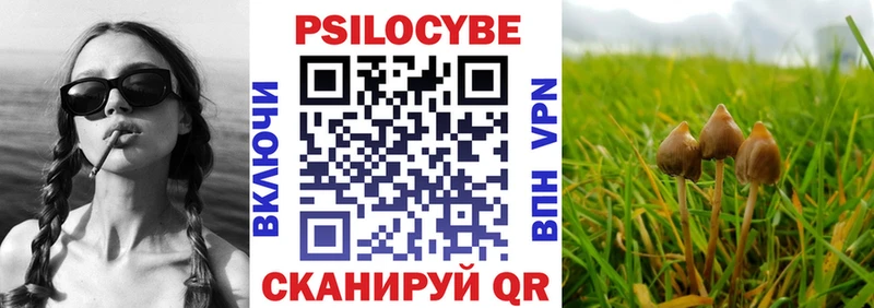 Галлюциногенные грибы прущие грибы  наркотики  Новодвинск 