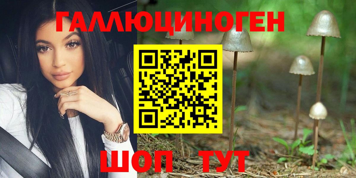 Галлюциногенные грибы ЛСД Новодвинск