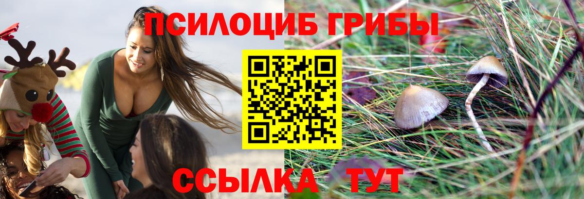 Псилоцибиновые грибы Magic Shrooms Новодвинск