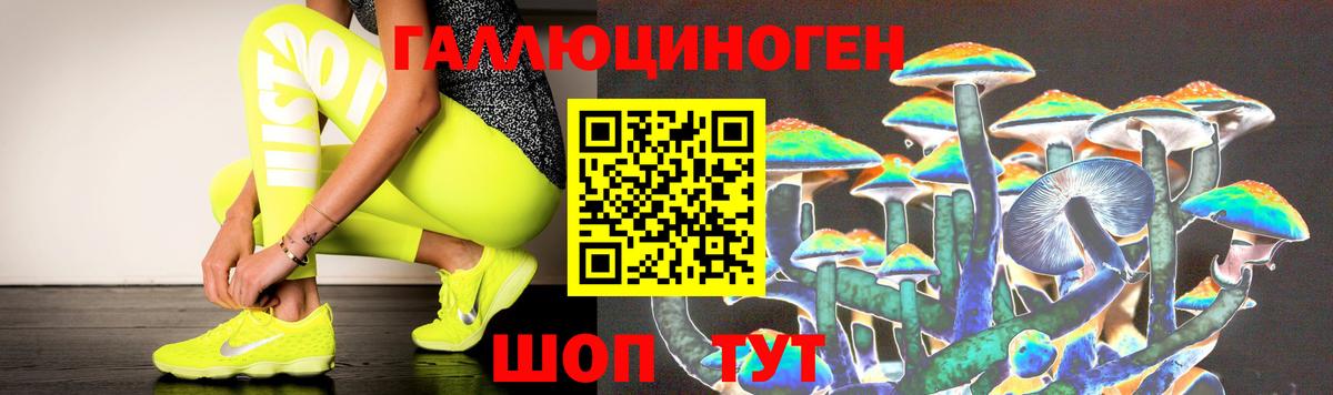 Галлюциногенные грибы мицелий  цена наркотик  Новодвинск 